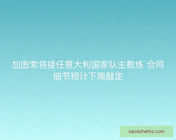 加图索将接任意大利国家队主教练 合同细节预计下周敲定