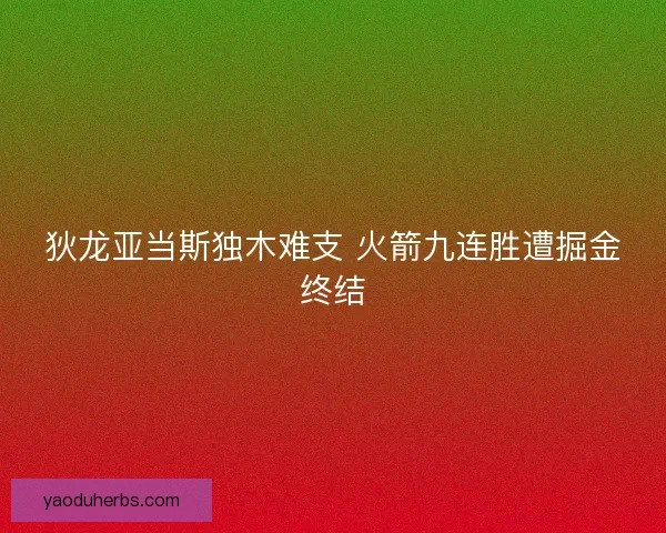 狄龙亚当斯独木难支 火箭九连胜遭掘金终结