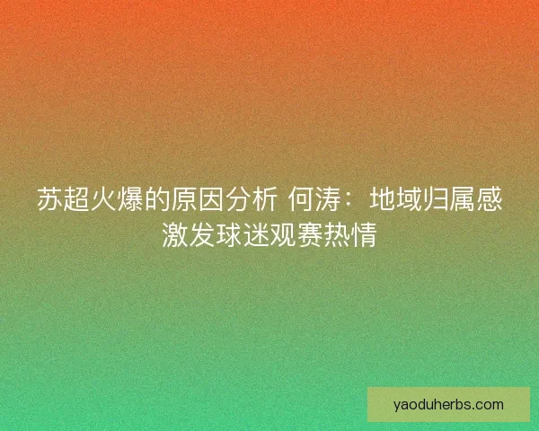 苏超火爆的原因分析 何涛：地域归属感激发球迷观赛热情