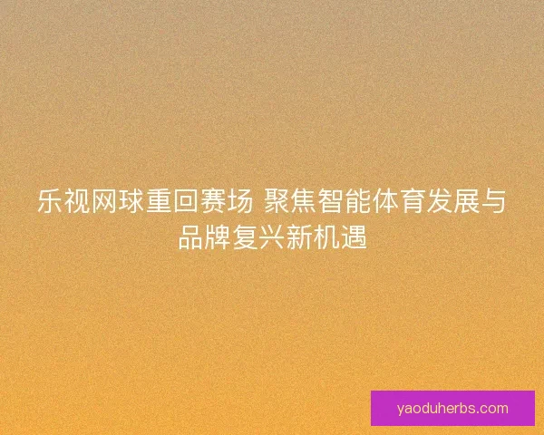 乐视网球重回赛场 聚焦智能体育发展与品牌复兴新机遇
