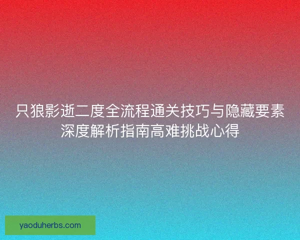 只狼影逝二度全流程通关技巧与隐藏要素深度解析指南高难挑战心得