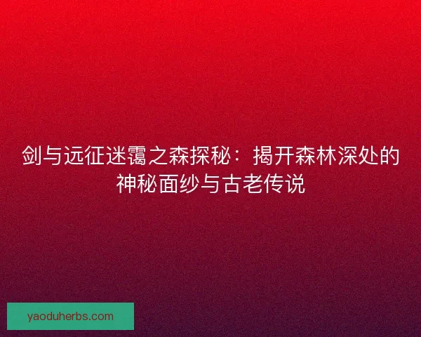 剑与远征迷霭之森探秘：揭开森林深处的神秘面纱与古老传说