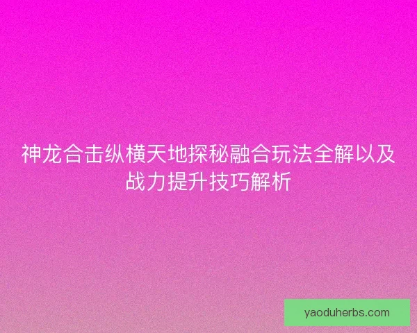 神龙合击纵横天地探秘融合玩法全解以及战力提升技巧解析