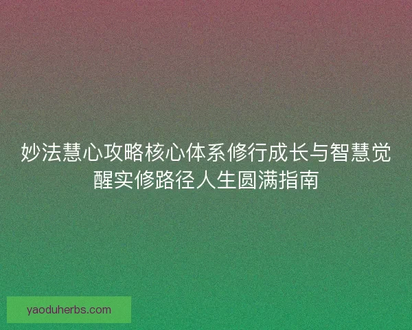 妙法慧心攻略核心体系修行成长与智慧觉醒实修路径人生圆满指南