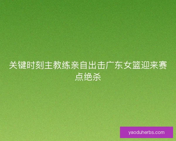 关键时刻主教练亲自出击广东女篮迎来赛点绝杀