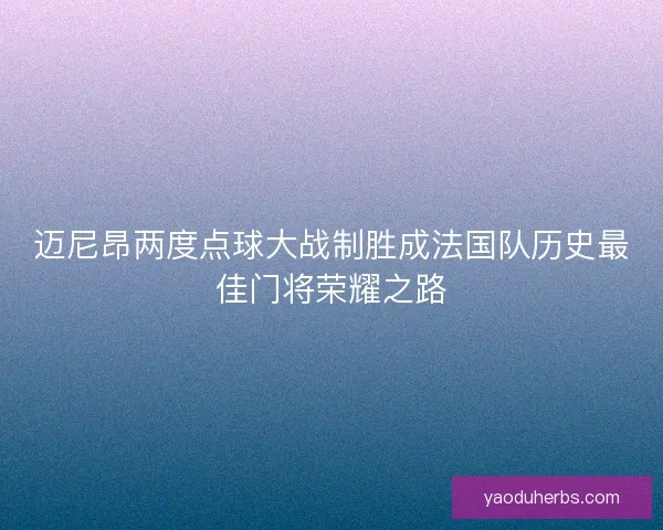 迈尼昂两度点球大战制胜成法国队历史最佳门将荣耀之路