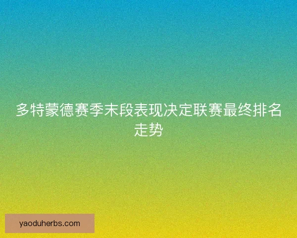 多特蒙德赛季末段表现决定联赛最终排名走势