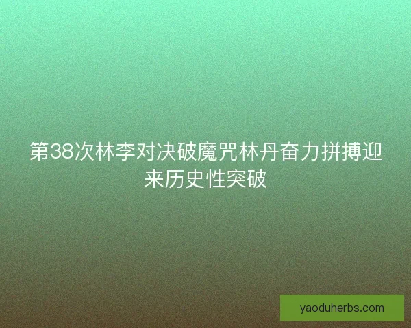 第38次林李对决破魔咒林丹奋力拼搏迎来历史性突破