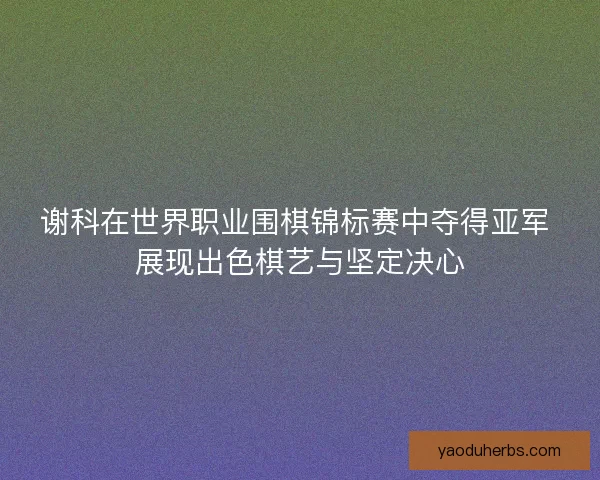 谢科在世界职业围棋锦标赛中夺得亚军 展现出色棋艺与坚定决心