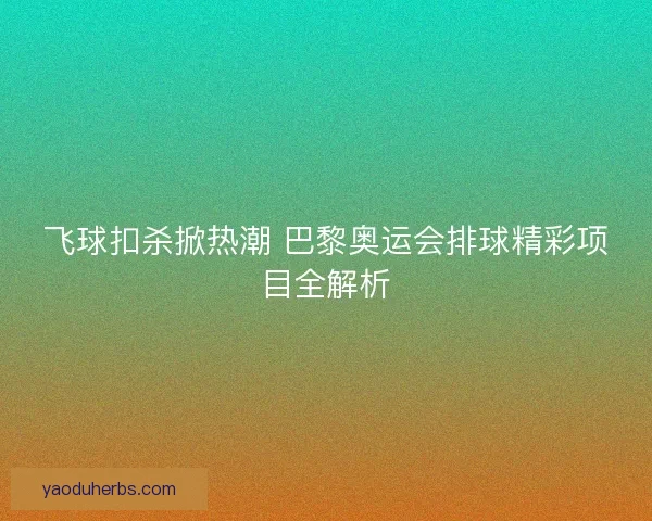 飞球扣杀掀热潮 巴黎奥运会排球精彩项目全解析