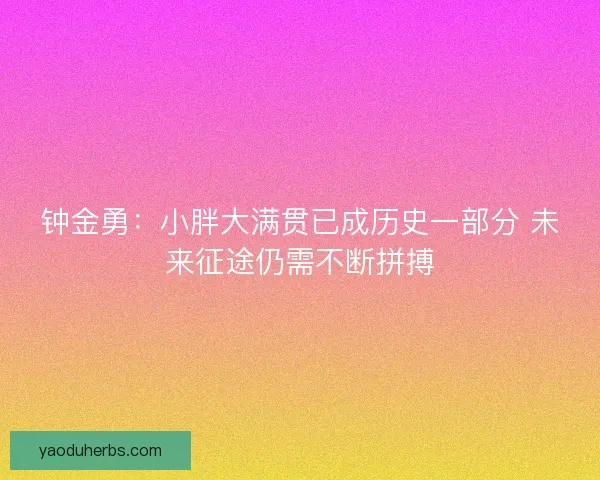 钟金勇：小胖大满贯已成历史一部分 未来征途仍需不断拼搏