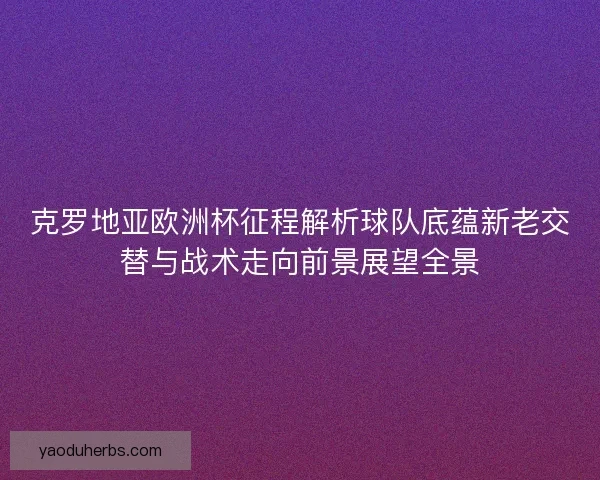 克罗地亚欧洲杯征程解析球队底蕴新老交替与战术走向前景展望全景