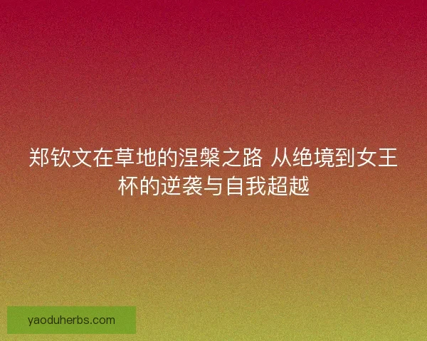 郑钦文在草地的涅槃之路 从绝境到女王杯的逆袭与自我超越