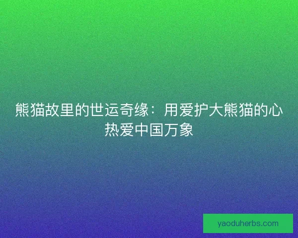 熊猫故里的世运奇缘：用爱护大熊猫的心热爱中国万象