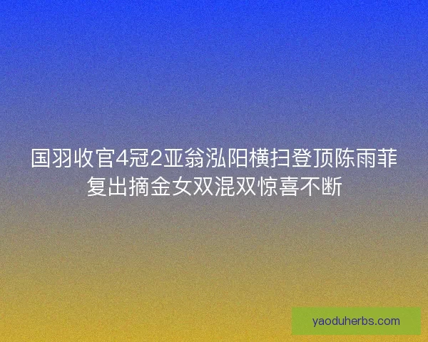 国羽收官4冠2亚翁泓阳横扫登顶陈雨菲复出摘金女双混双惊喜不断